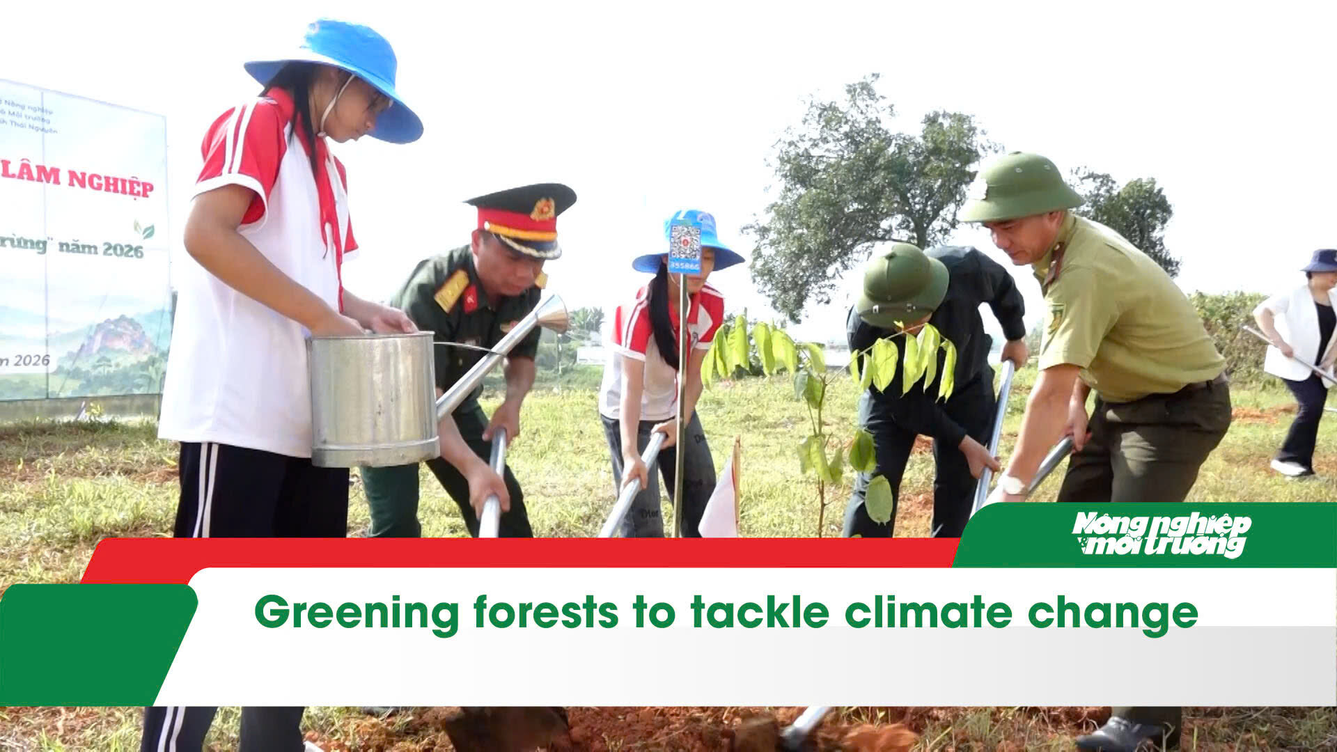 Greening forests to tackle climate change